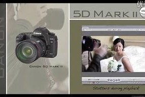 91pro國產,引領科技潮流的創新力量